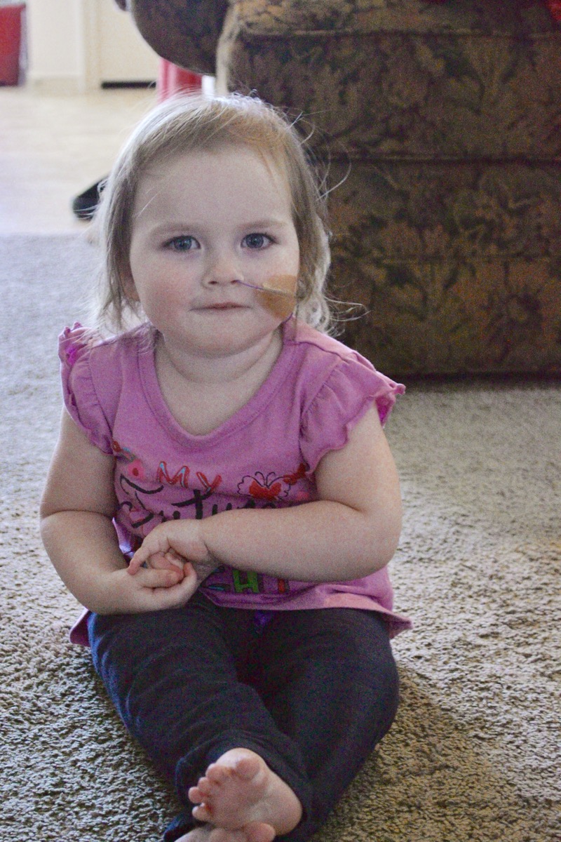Sophia in 2017